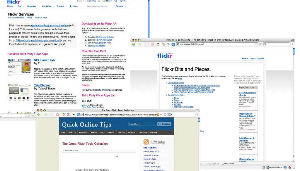 A browser extensions settings page showing permission grants