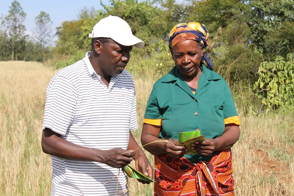 Cover image for Yield Farming Explained: How It Works and the Risks
